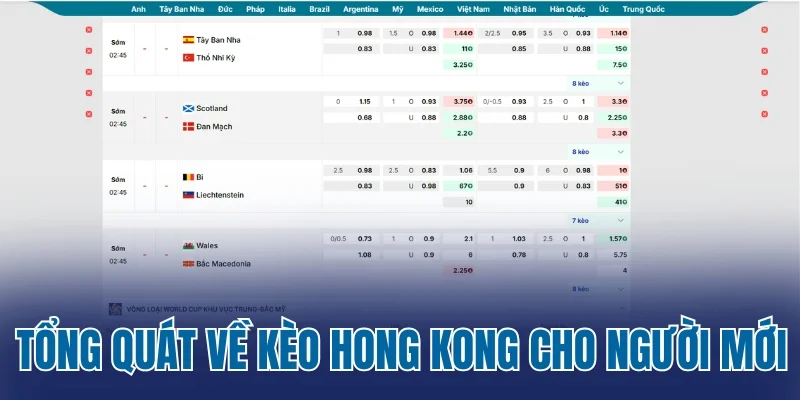 Tổng quát về kèo Hong Kong cho người mới