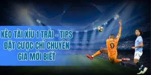 Nắm vững mẹo soi kèo tài xỉu 1 trái cực hay