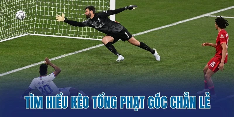Tìm hiểu kèo tổng phạt góc chẵn lẻ