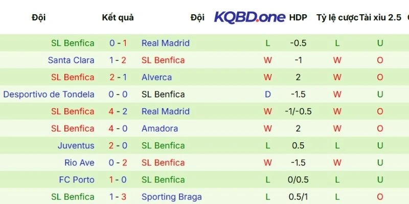 Thành tích qua các vòng đấu của Benfica